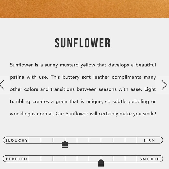 Portland Leather Sunflower Seesaw Pouch - Picture 4 of 4